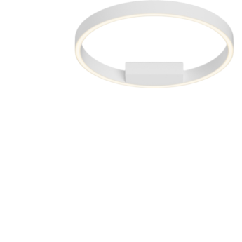 Потолочный светильник MAYTONI RIM MOD058CL-L25WK